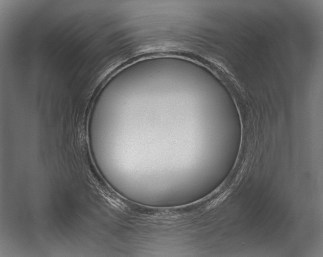 X0000058101073200509230748