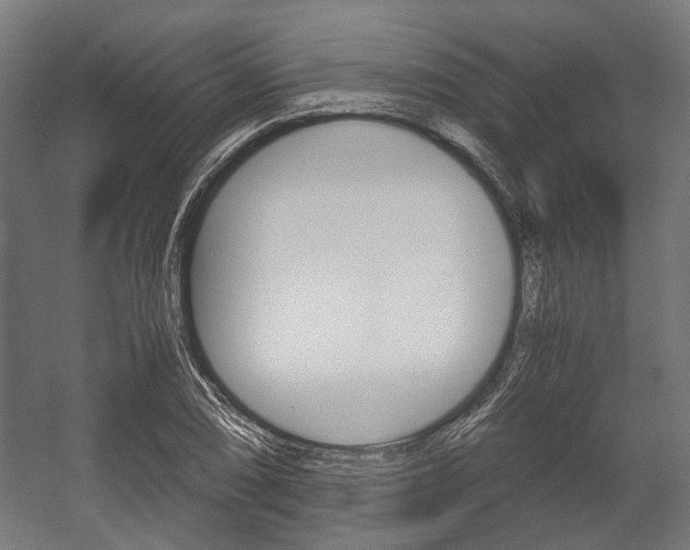 X0000058101074200509230748