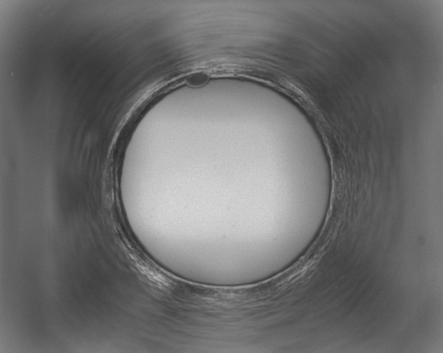 X0000058101075200509230748