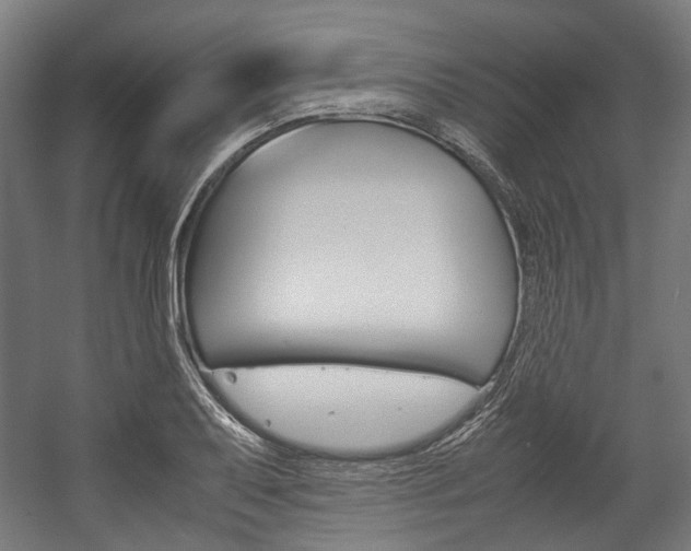 X0000058101079200509230748