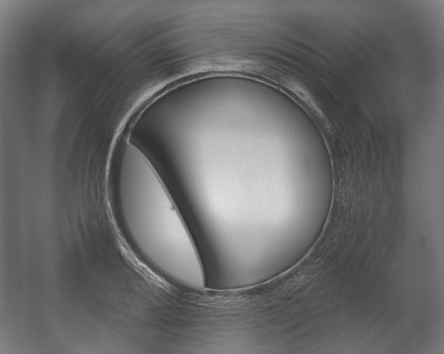 X0000058101080200509230748