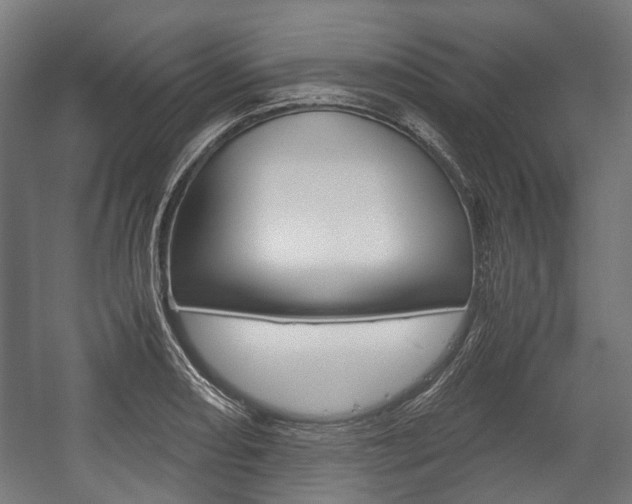 X0000058101082200509230748