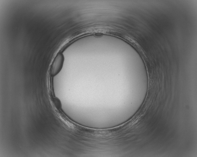 X0000058101083200509230748