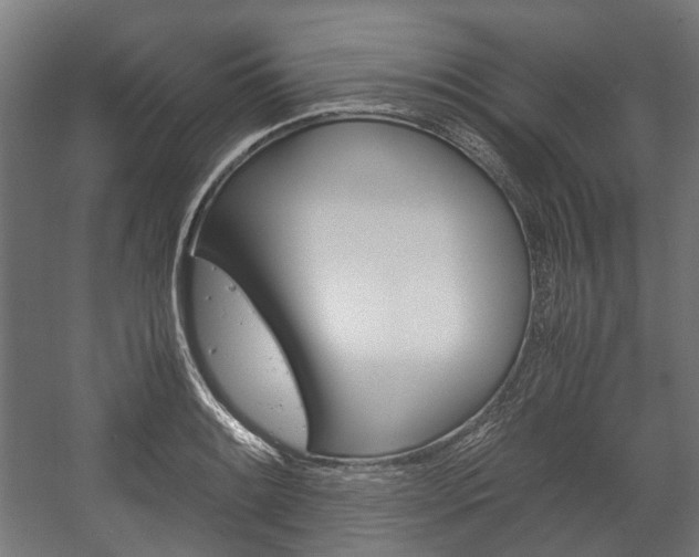 X0000058101084200509230748