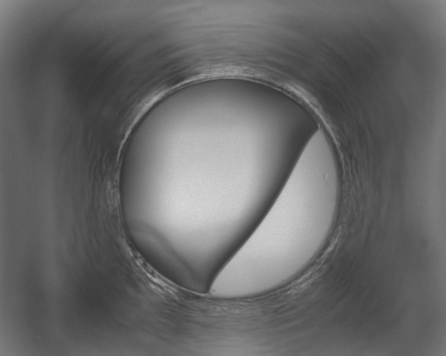 X0000058101097200509230747