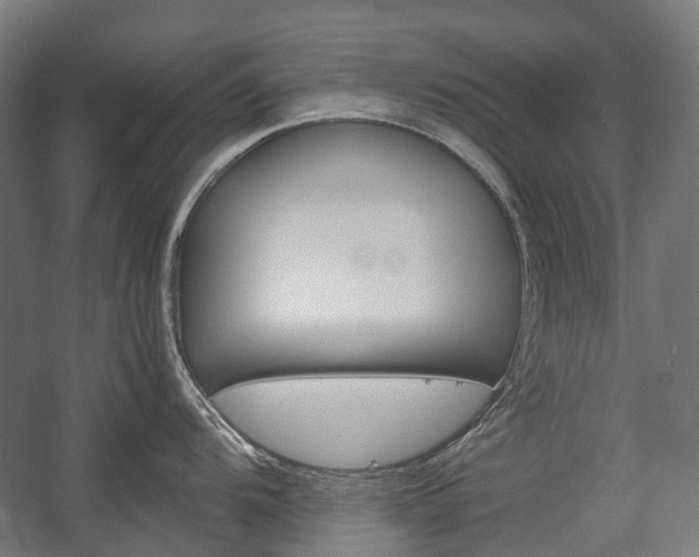 X0000058101104200509230747