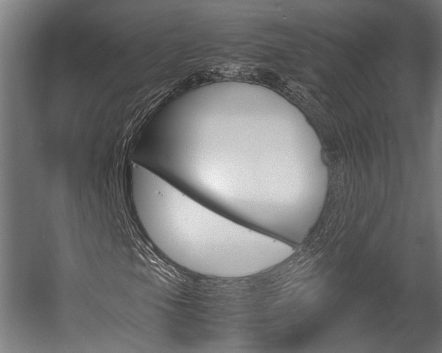 X0000058101105200509230746