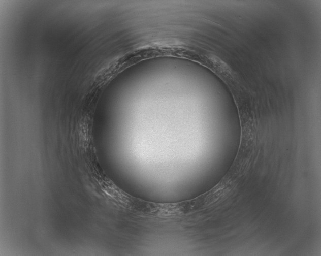X0000058101110200509230747