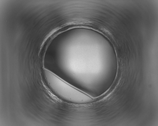 X0000058101114200509230747