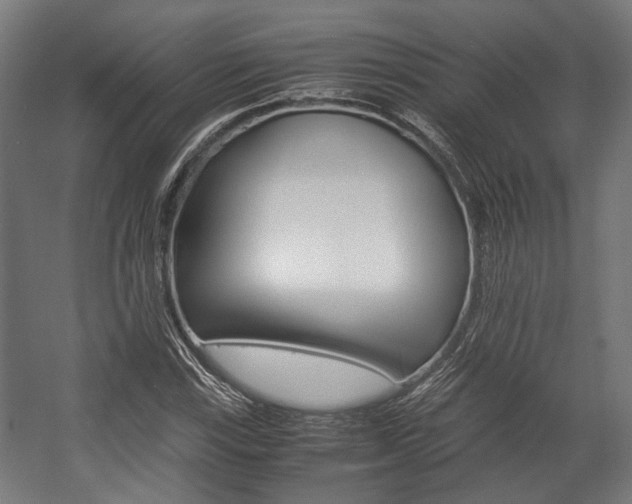 X0000058101115200509230747