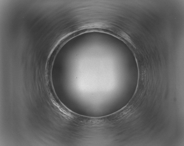 X0000058101116200509230747