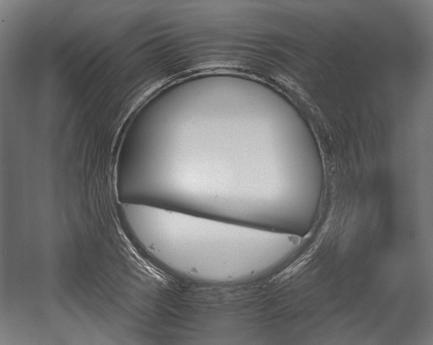 X0000058101121200509230747