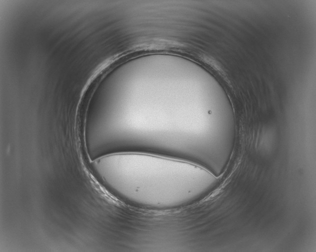 X0000058101122200509230747