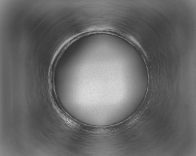 X0000058101124200509230747