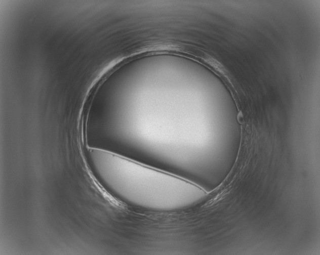 X0000058101127200509230747