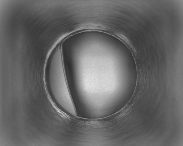 X0000058101128200509230747
