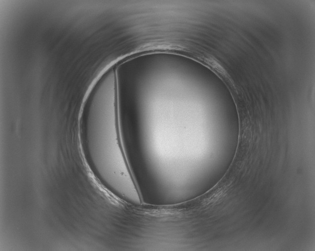 X0000058101132200509230747