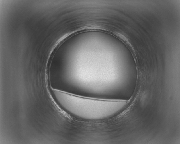 X0000058101133200509230747
