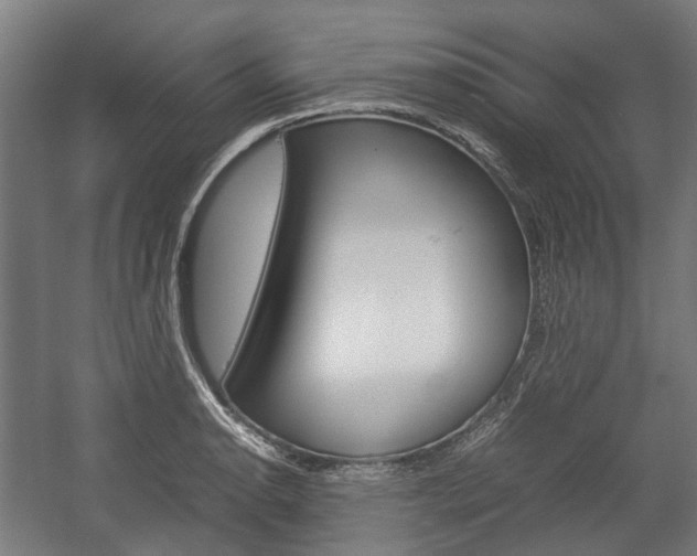 X0000058101134200509230747