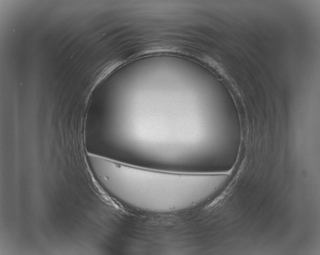 X0000058101137200509230747