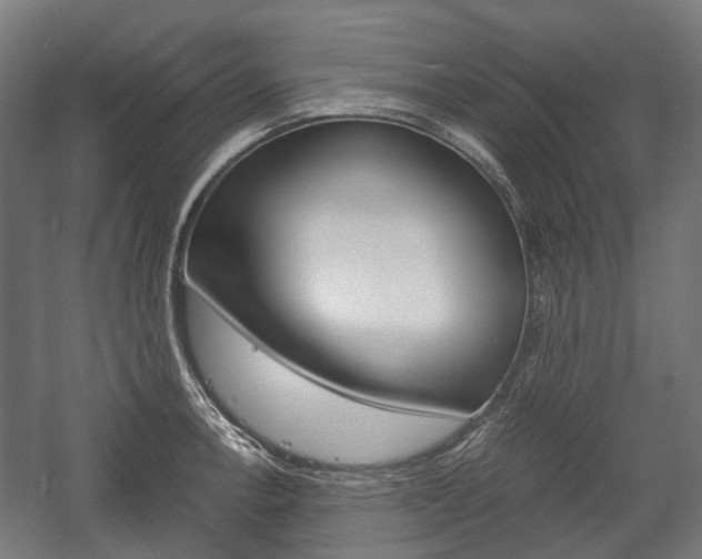 X0000058101138200509230747