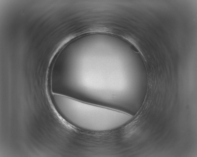 X0000058101139200509230747