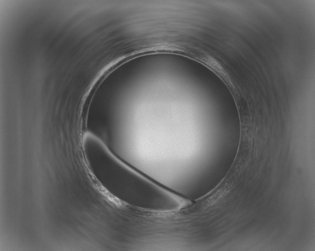 X0000058101140200509230747