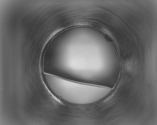 X0000058101141200509230747