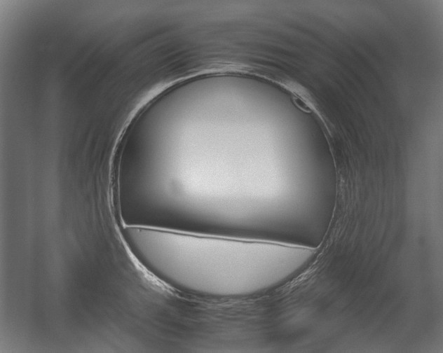 X0000058101143200509230747