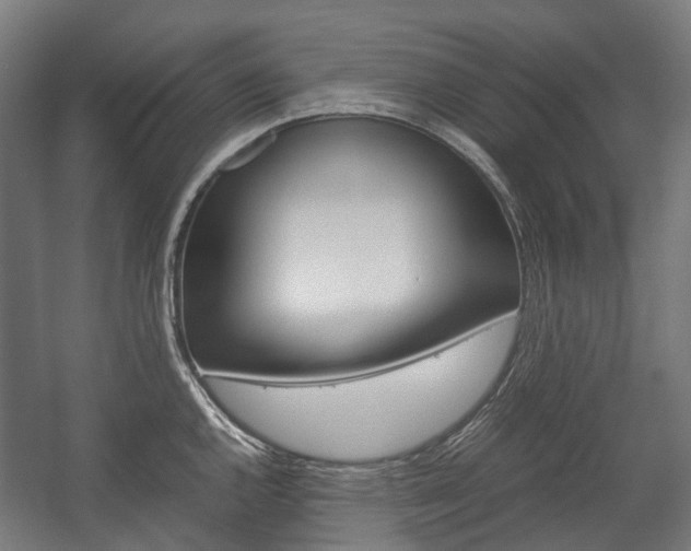 X0000058101144200509230747
