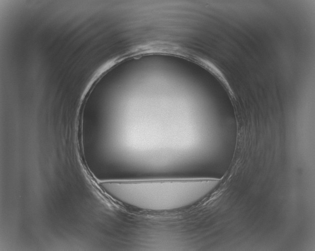 X0000058101146200509230747