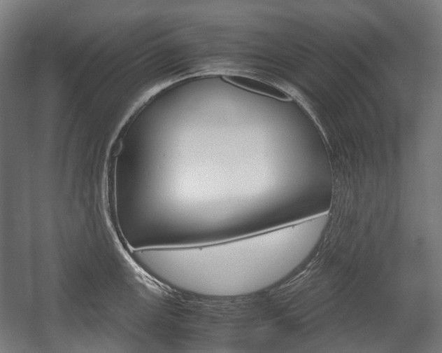 X0000058101147200509230747