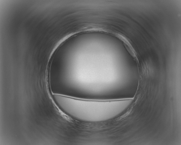 X0000058101149200509230747