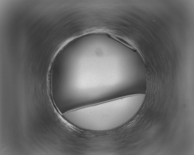 X0000058101151200509230747