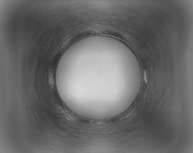X0000058101155200509230746