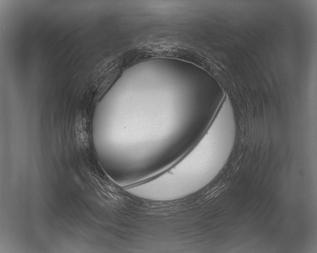 X0000058101156200509230746