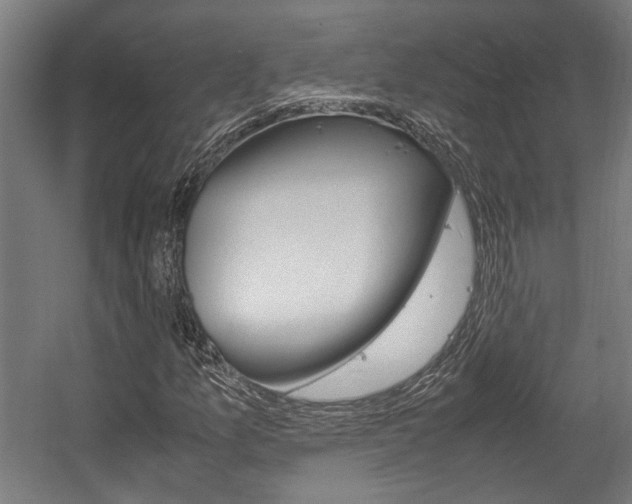 X0000058101157200509230746
