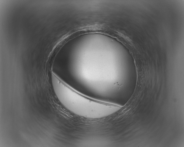 X0000058101160200509230746