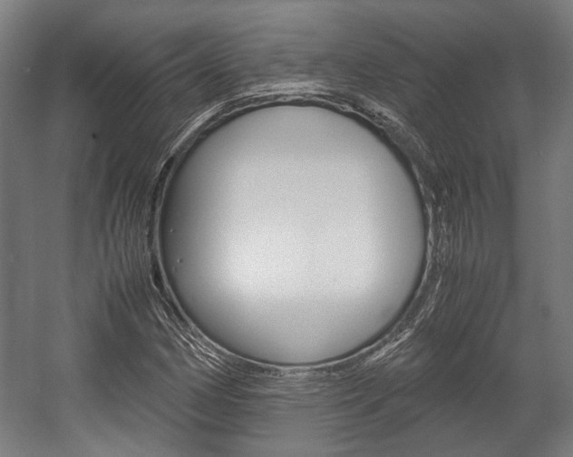 X0000058101162200509230746
