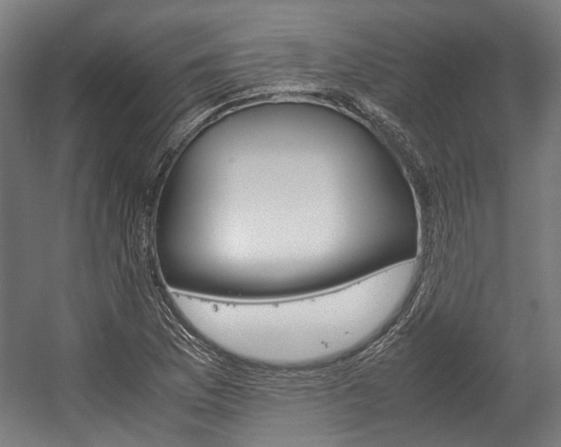 X0000058101169200509230746