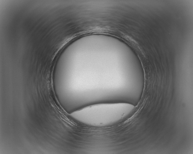 X0000058101170200509230746