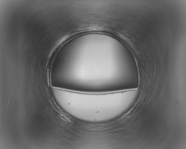 X0000058101171200509230746