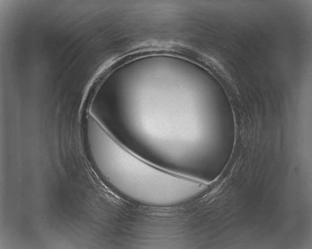 X0000058101172200509230746