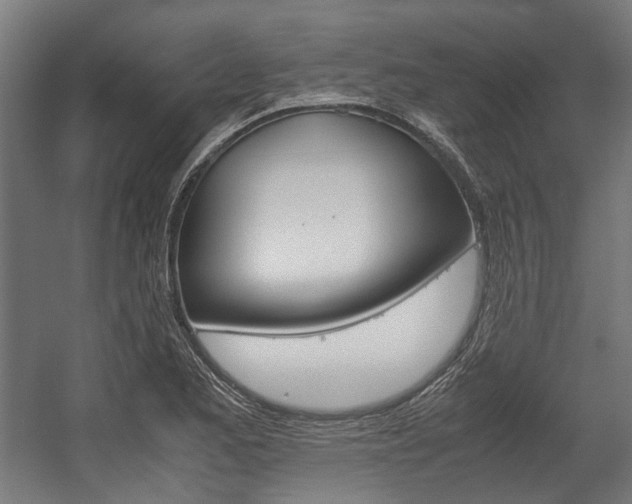 X0000058101173200509230746