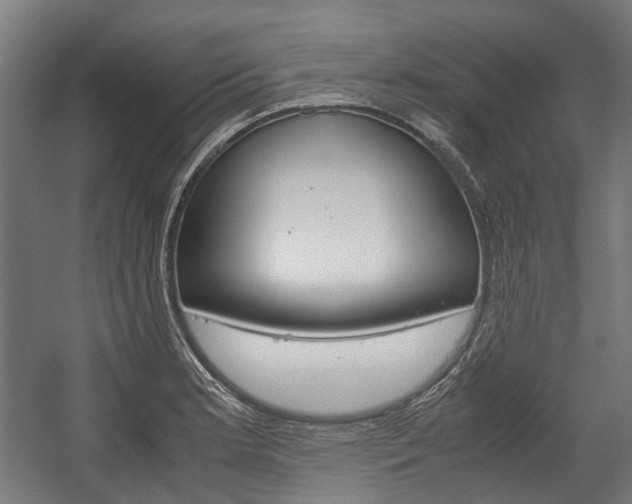 X0000058101181200509230746