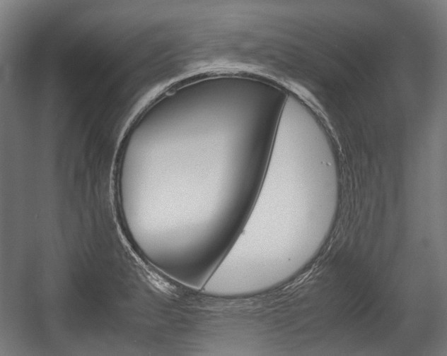 X0000058101183200509230746