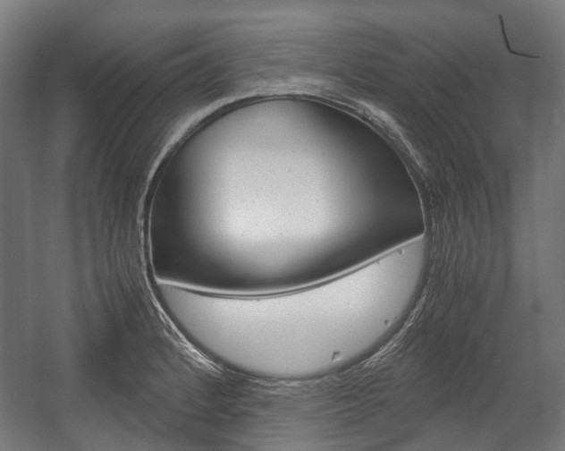 X0000058101184200509230746