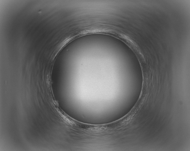 X0000058101185200509230746