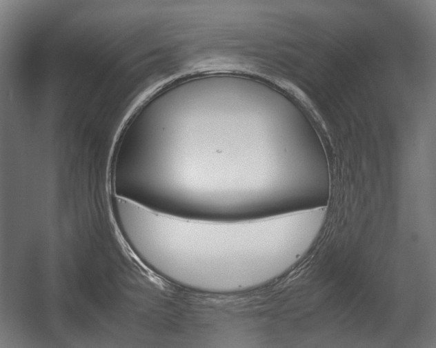X0000058101191200509230746