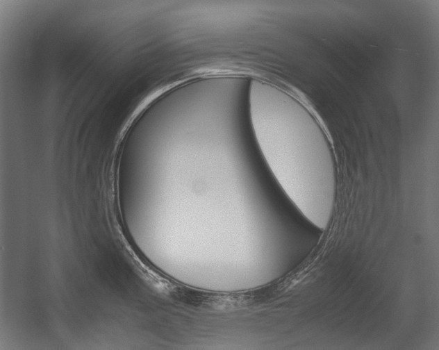 X0000058101195200509230746